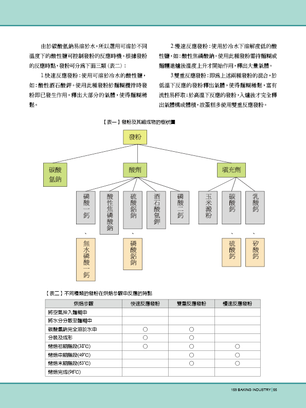 無鋁發粉在產品上之應用與試驗 第 2 頁